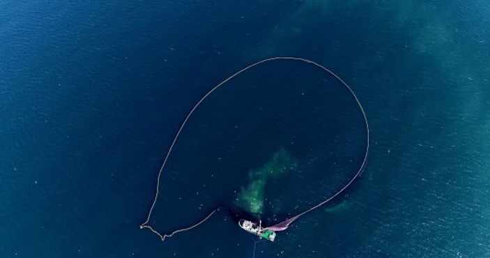 i Balıkçıların yüzü hamsi ile gülüyor