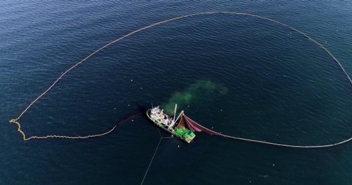i Balıkçıların yüzü hamsi ile gülüyor
