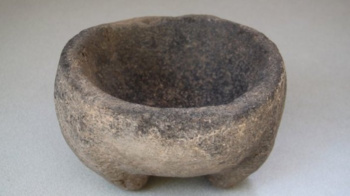 Kilis'te 4 bin yıllık zeytin çekirdekleri bulundu