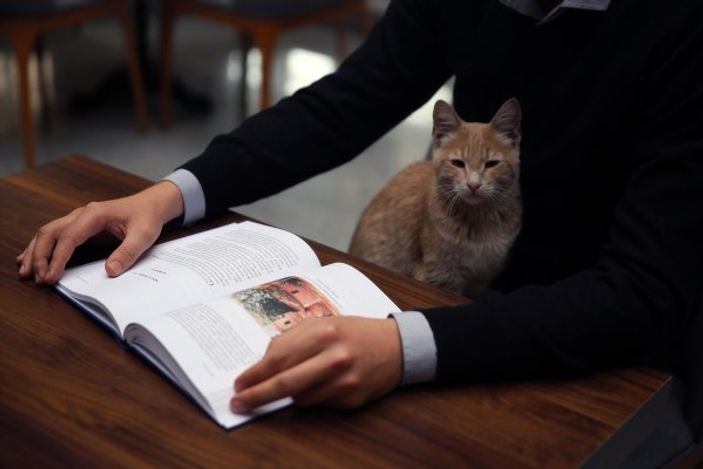 a Millet kıraathanesinin sevimli misafiri