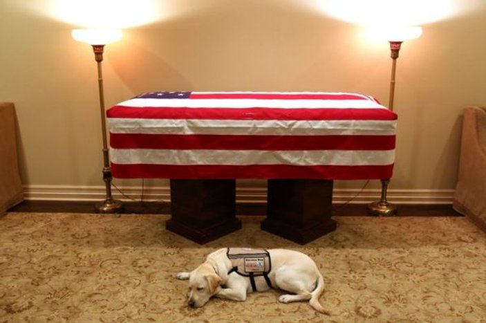 Eski ABD Başkanı Bush için köpeği yas tutuyor