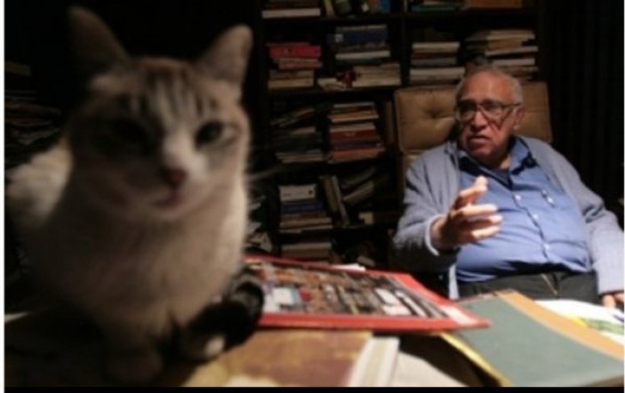 Dünya Kediler Günü'nde yazarların kedileriyle olan halleri