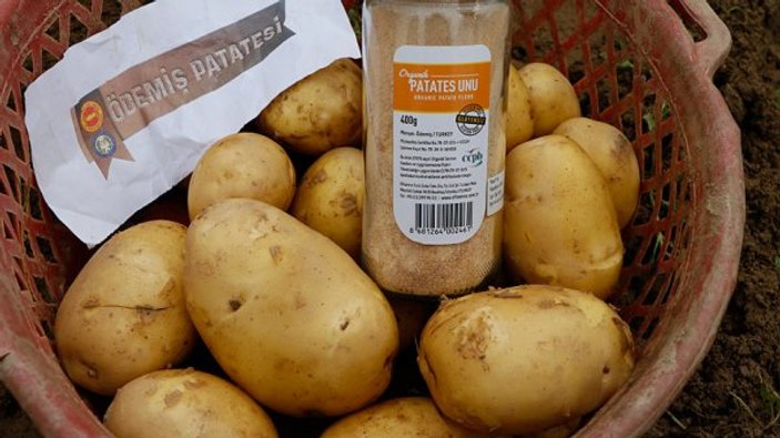 Organik patatesle gelen başarı hikayesi