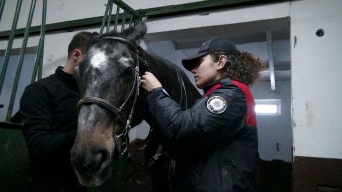 İstanbul'un atlı polisleri göreve hazır