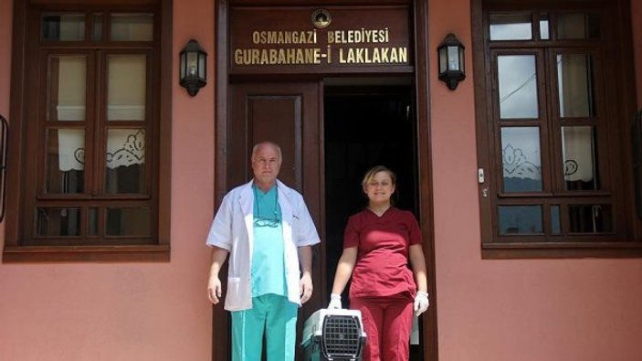 Dünyanın ilk hayvan hastanesini Osmanlı açmıştı