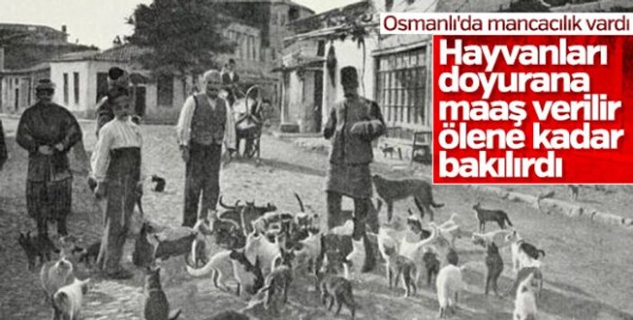 Dünyanın ilk hayvan hastanesini Osmanlı açmıştı