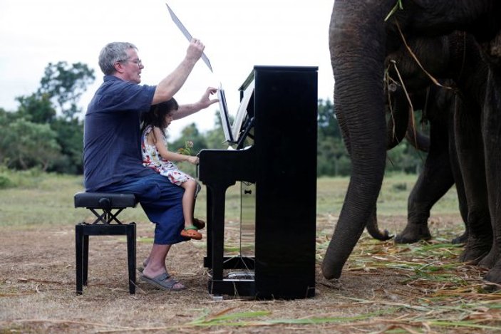 Tayland'da yaşayan bir adam 10 yıldır fillere çalıyor