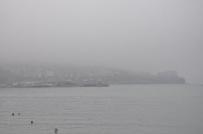 Zonguldak'ı sis sardı