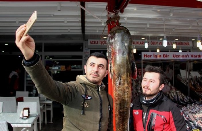 Samsun'da 2 metrelik dev balık görenleri şaşırtıyor