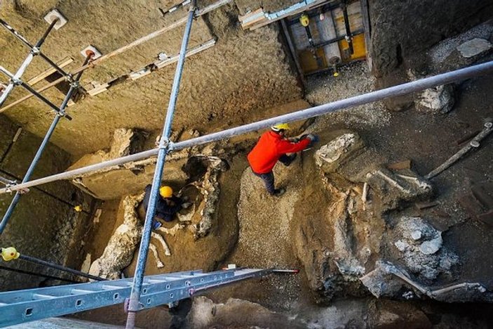 Pompei'de Roma dönemine ait at iskeleti bulundu