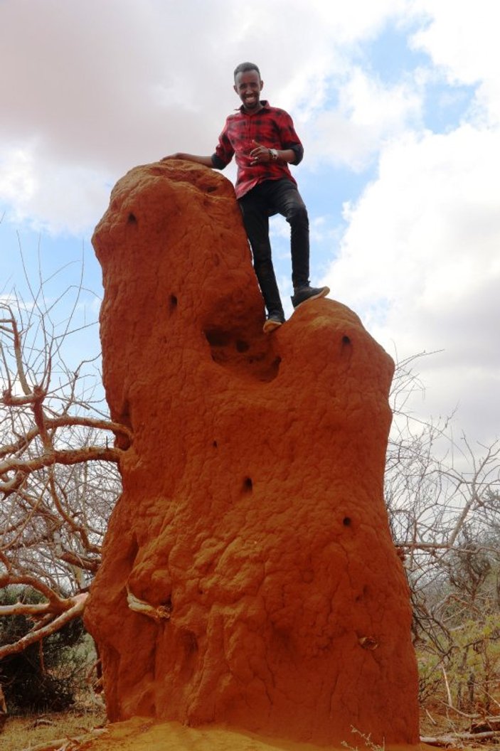 Somali’de 4 metrelik termit gökdelenleri