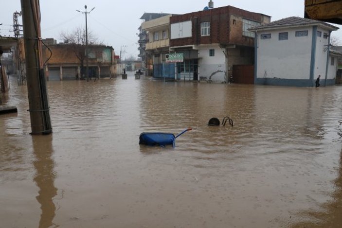 Suruç'ta sel hayvanları telef etti