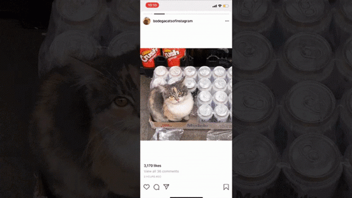 Instagram, yeni bir özelliğini yanlışlıkla yayınladı