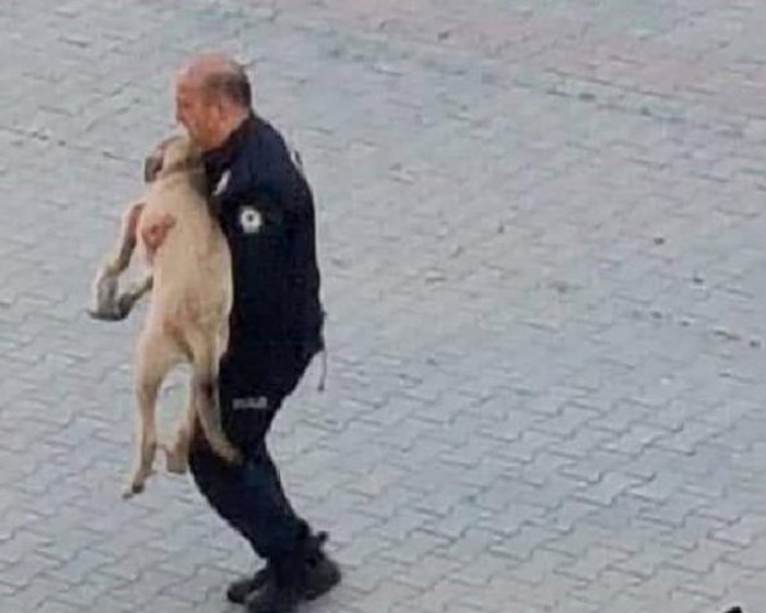 Polis yaralı köpeği kucağında veterinere götürdü