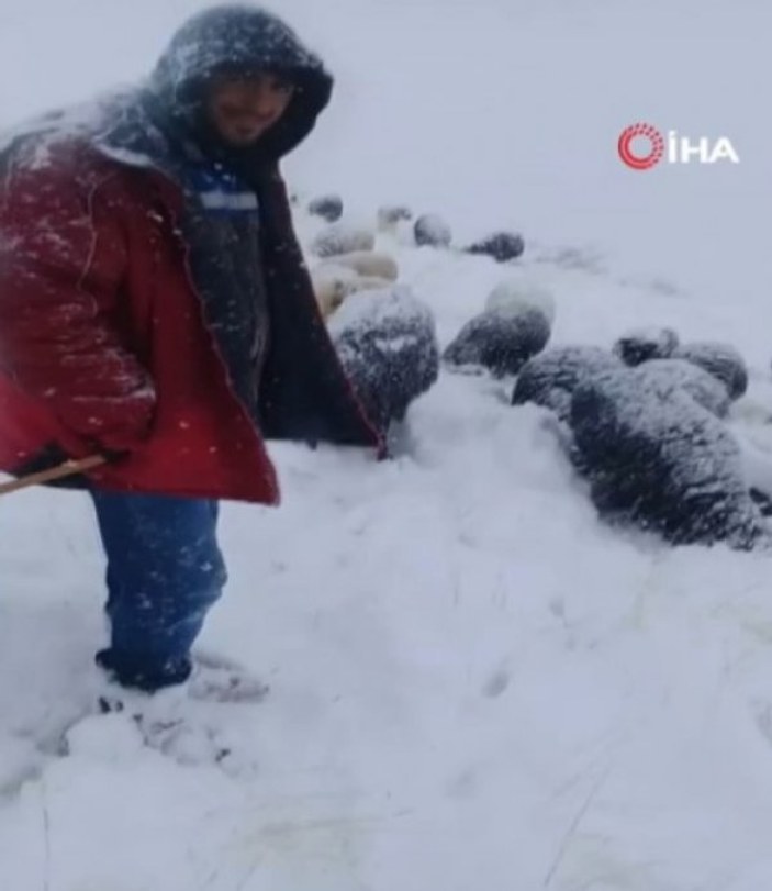 Erzurum'da koyun sürüsü kar ve tipiye yakalandı