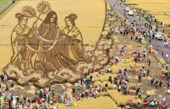 Japon tarlalarında pirinç çeltik sanatı