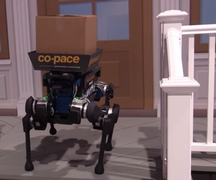 ABD'de teslim elemanı robot köpekler tanıtıldı