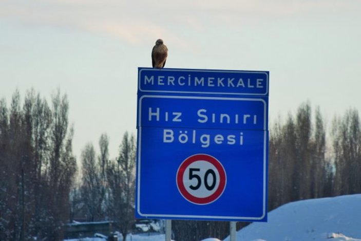Doğu Anadolu'da buzlanmaya dikkat