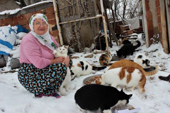 58 kediye bakan Nuriye Teyze: Hayvanlarımdan kopamıyorum