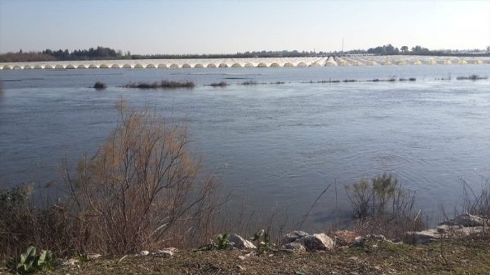 Seyhan Nehri taştı, 30 bin dönüm ekili alan sular altında kaldı