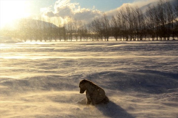 Kar ve tipi Tunceli'de hayatı olumsuz etkiliyor