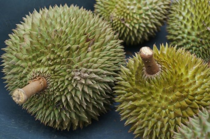 Durian nedir