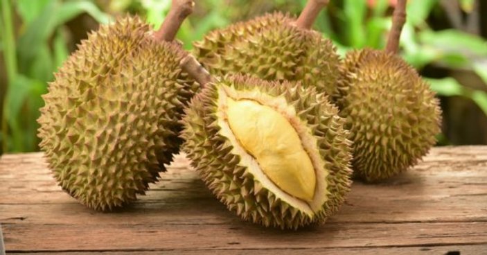 Durian nedir