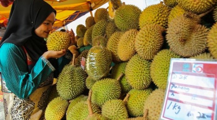 Endonezya'nın yasaklı meyvesi can aldı