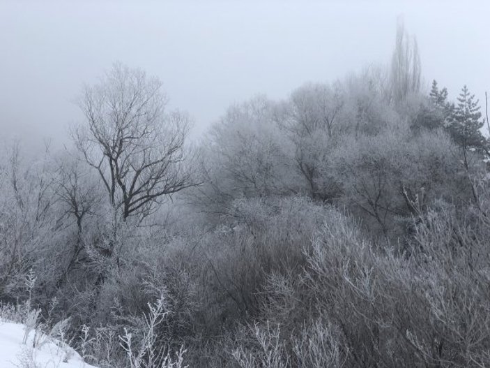 Kars'ta yoğun sis ve soğuk hayatı olumsuz etkiliyor