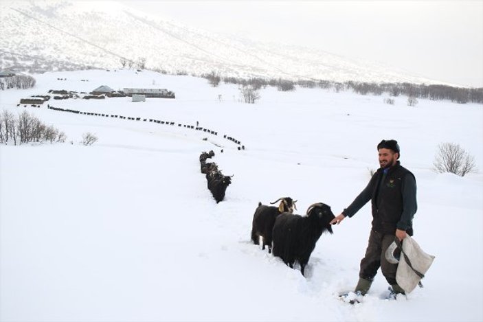 Bingöl'de karlı arazilerde besicilik manzarası