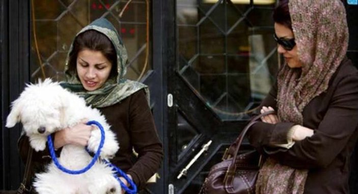 Tahran'da köpek gezdirmek artık suç