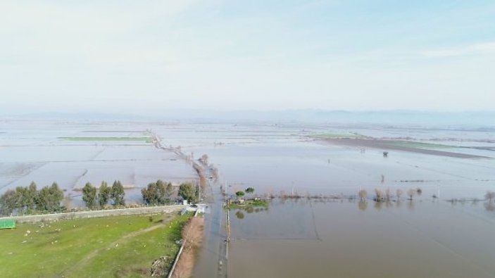 Aydın'da 100 bin dönüm tarım arazisi sular altında