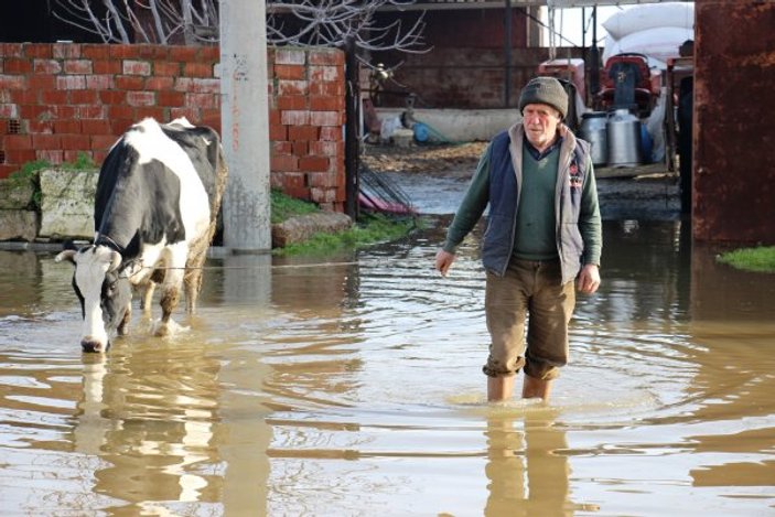 Aydın'da 100 bin dönüm tarım arazisi sular altında