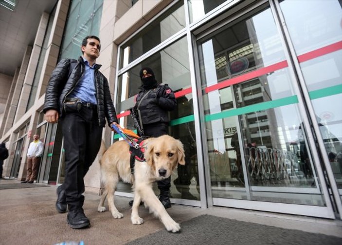 Görme engelli avukatın yoldaşı: Rehber köpek Tabs