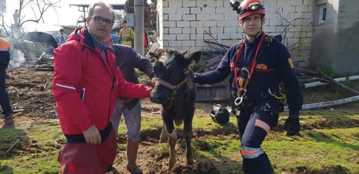 Kuyuda mahsur kalan inek 12 saat sonra kurtarıldı