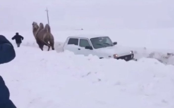 Rusya'da kara saplanan aracı deve kurtardı