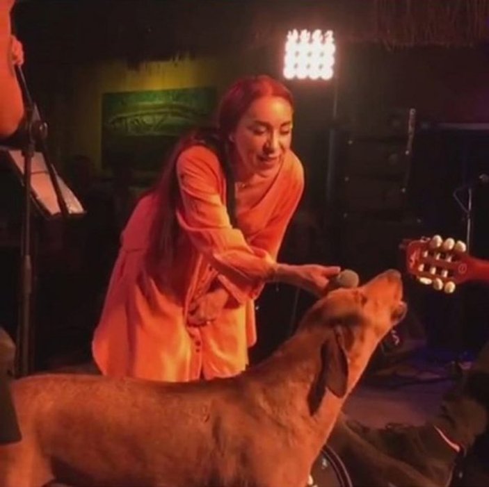 Leman Sam konserinde sahneye fırlayan köpeği öldürdüler