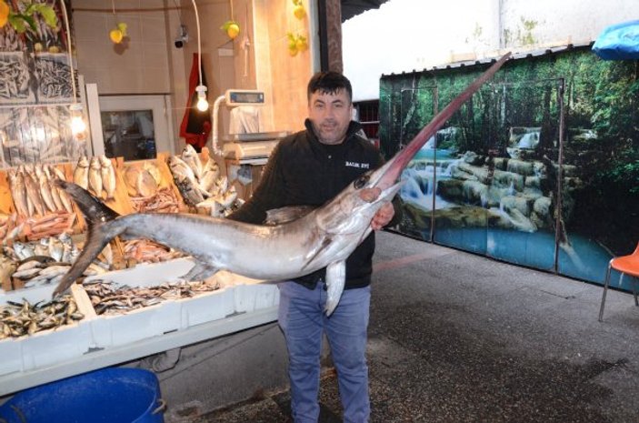 2 metrelik kılıç balığı 2 bin 800 liraya satıldı