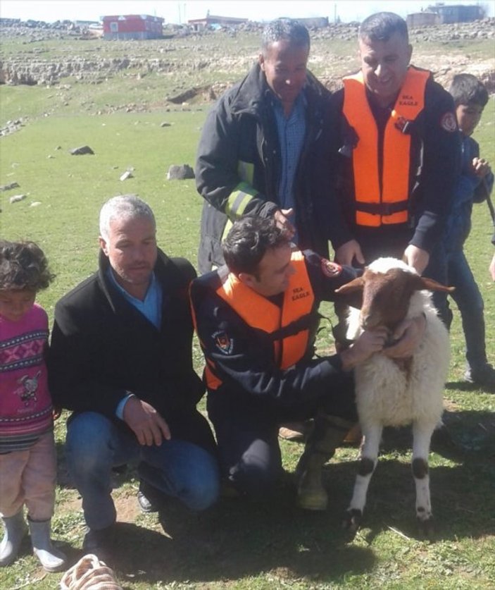 Kayalıkta mahsur kalan kuzu botla kurtarıldı