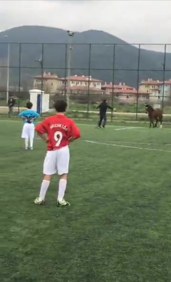 Bursa'da futbol turnuvasında sahaya giren at korkuttu