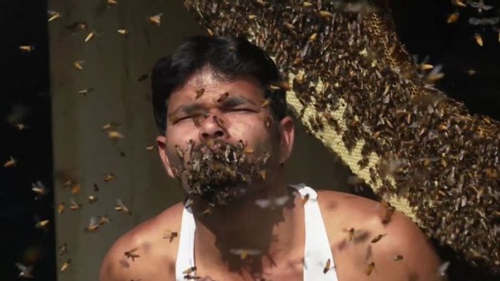 Yüzlerce arıyı ağzına sokan adam