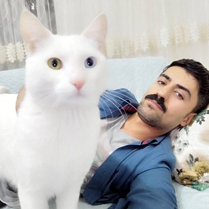 Gaziantep'te bir adam kedisi için 190 bin lira harcadı