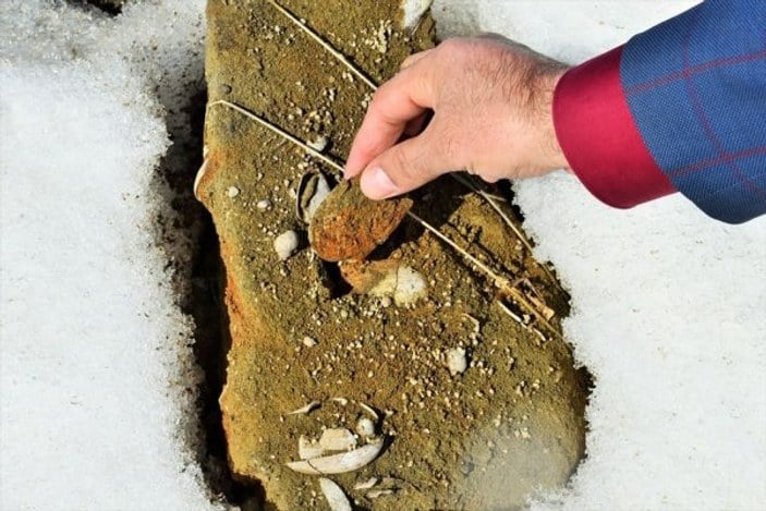 Muş'ta 11 milyon yıllık fosil keşfi