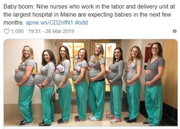 9 hemşire aynı anda bebek bekliyor