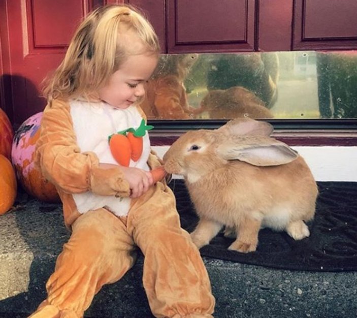 Küçük kız ve dev tavşanın dostluğu