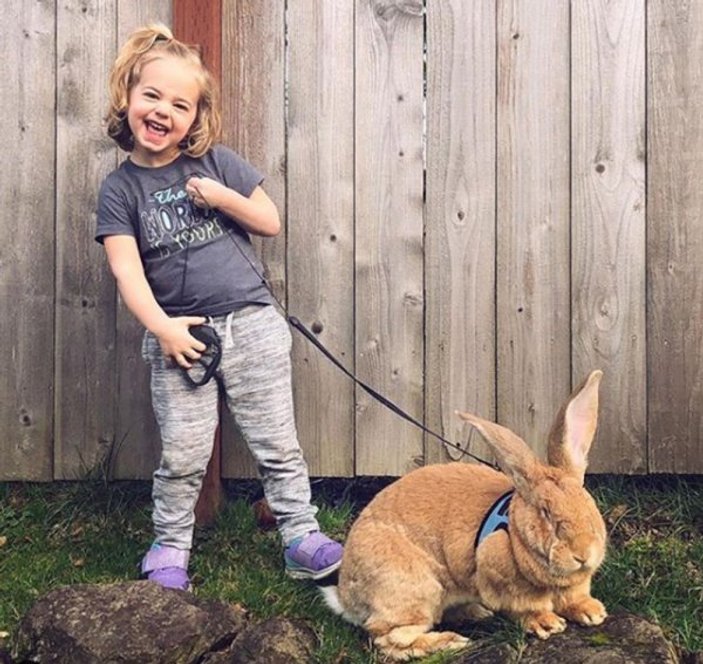 Küçük kız ve dev tavşanın dostluğu