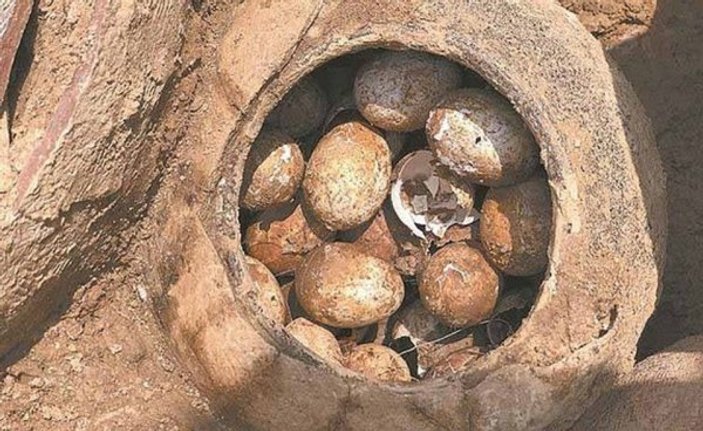 Mezarın içinden 2 bin 500 yıllık yumurta çıktı