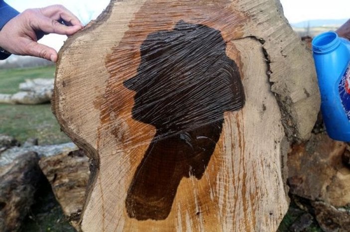 Ağaç gövdesinden kadın silüeti çıktı