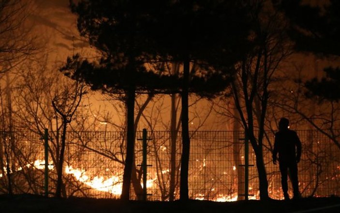 Güney Kore’de ulusal felaket ilan edildi