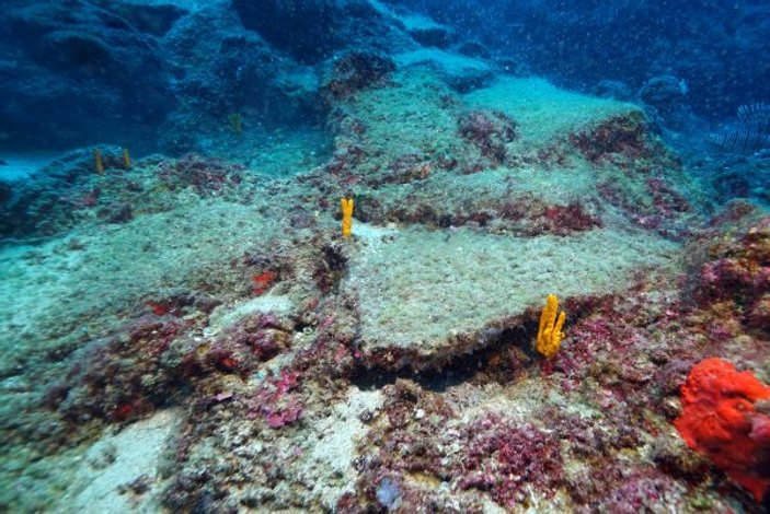 Antalya'da 3 bin 600 yıllık gemi batığı bulundu